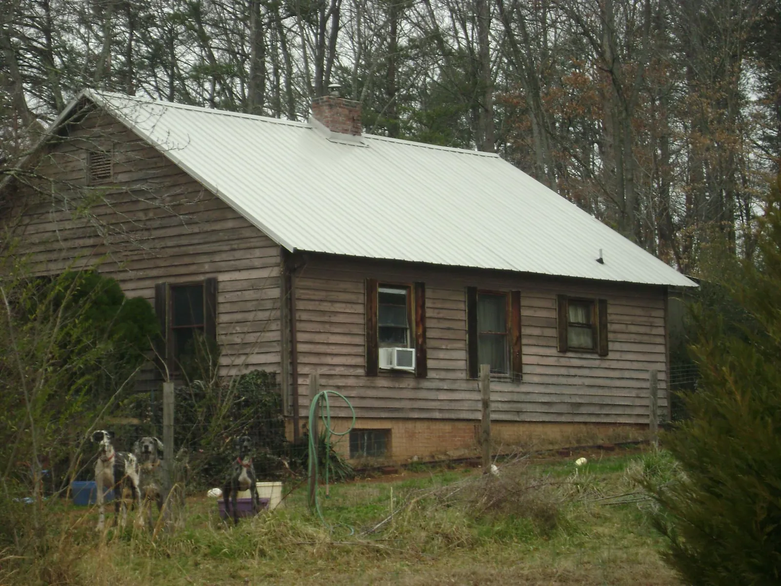 White metal roof on an old wood sided farmhouse, from a Asphalt Shingle Roof Repair job in Saint Ansgar